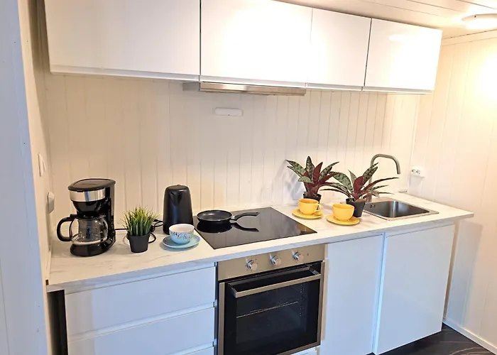 Nelly's * סטוונגר