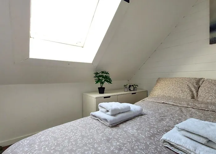 Nelly's 公寓 斯塔万格